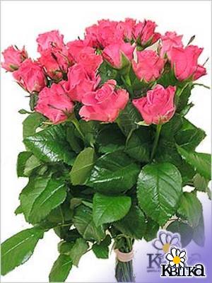 ��������� ���������� ���������.&nbsp;&nbsp;������������ ����� ����� �� ������� ��� �� ������� ����������� �� ���� �������. ������� ��� ������������ � ���� ��������, 8 �����, ������� � ���� ������� ���������. �������� ���������� ������ � ��������� �������� ���������. ������ ������ 50 ��. 